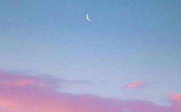 我心中你最美作文600字精选8篇