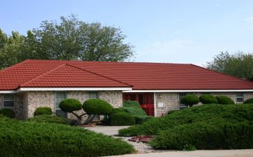 我想握住你的手作文800字7篇