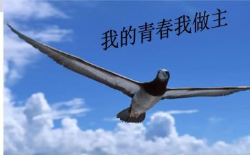 我青春我做主z作文优秀8篇