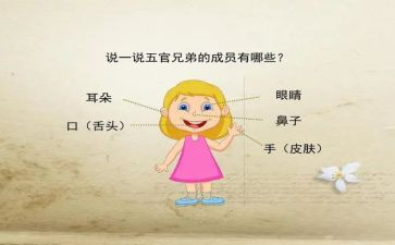 《五官》300字作文5篇