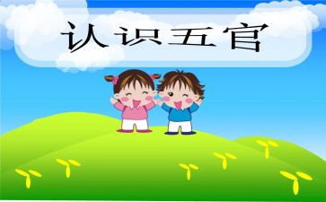 小班教案《我的五官》教案6篇