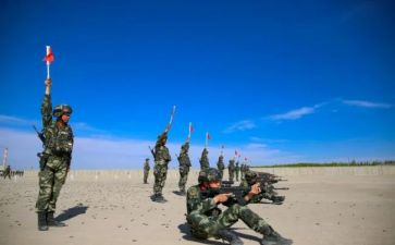 2024年武警述职报告7篇