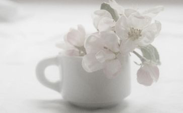 花开无声的作文6篇