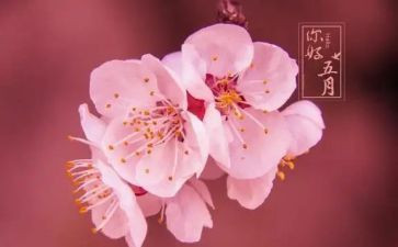 四五月份的工作计划参考5篇