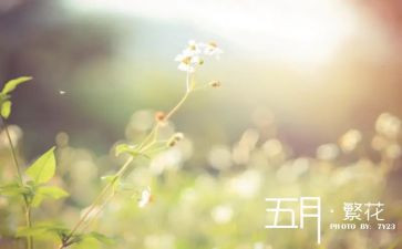 公司五月份工作计划6篇