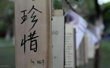 珍惜生命的演讲稿范文6篇