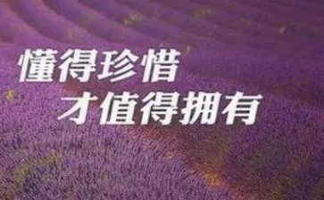珍惜生活作文模板7篇