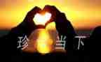 珍惜水资源的演讲稿8篇