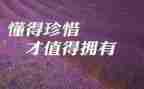 珍惜生活作文模板7篇