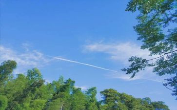 中班找夏天教案7篇