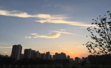 高二下班主任工作计划8篇