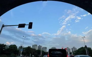 5年级下班主任工作总结5篇