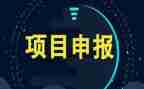 项目调查报告8篇