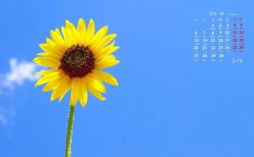 向日葵的小作文模板6篇