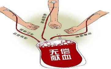献血日的活动总结推荐8篇