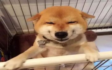 《笑》作文400字优秀作文通用6篇