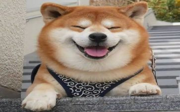 作文微笑500字精选8篇