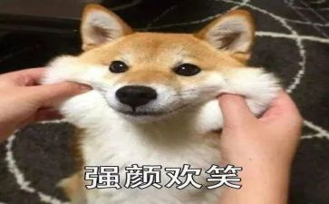微笑作文300字模板8篇