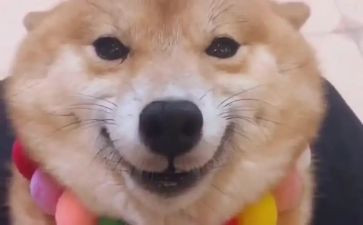关于的笑作文500字推荐5篇