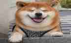笑话作文400字6篇