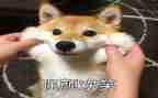 我笑作文通用6篇