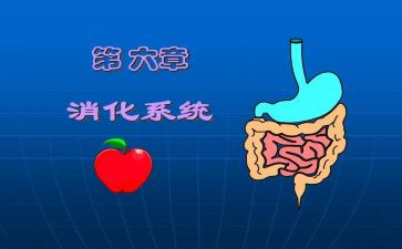 消化内科2024年护理工作计划6篇