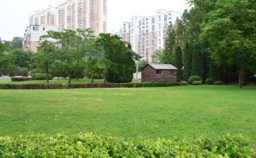校内活动方案8篇
