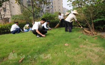 小区保洁的工作总结优质8篇