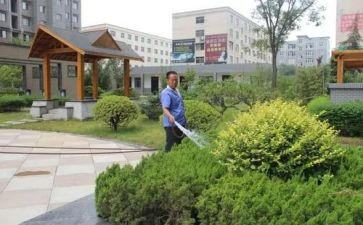 小区物业重阳节活动方案6篇