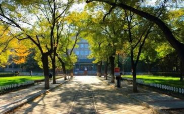 2024年校务公开工作计划8篇