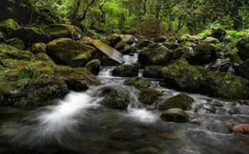 小溪流的歌教学反思7篇