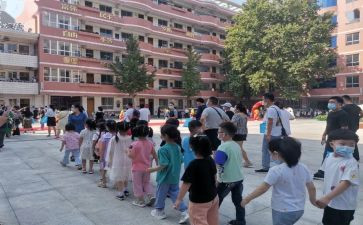 小学5.1活动方案推荐8篇
