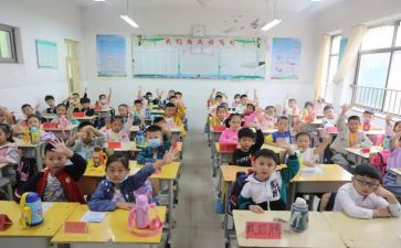 小学活动方案策划优秀8篇