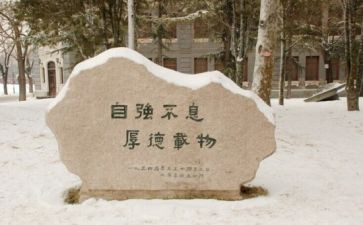 校训的作文最新5篇