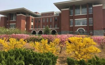 精彩校园活动方案8篇