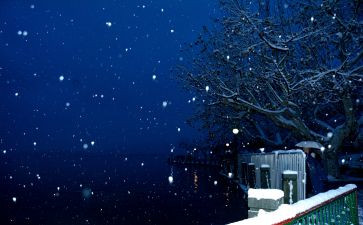 《下雪了》小班教案8篇