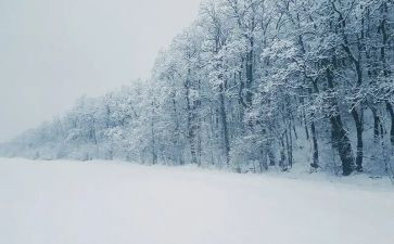 幼儿园小班下雪啦教案通用6篇