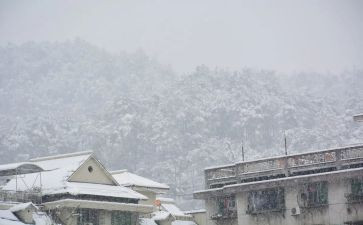 下雪作文600字初中作文6篇