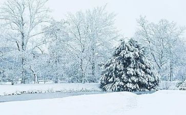 下雪了小班教案8篇