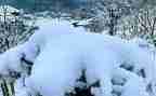 下雪天安全教案6篇