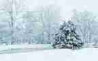 下雪了小班教案8篇