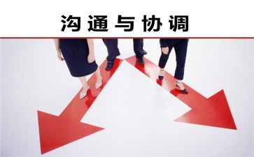 协调工作报告5篇