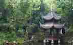 写物的作文600字优秀作文8篇