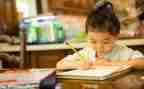 小学生写作文动物的作文5篇