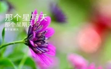 我的星期天400字作文6篇