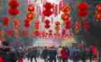 中班新年语言活动教案8篇