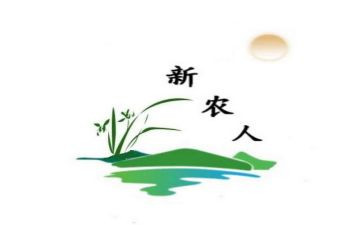 新农保申请书5篇