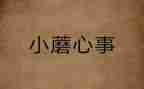 我的心事作文800字5篇