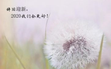 财务新一年的工作计划7篇