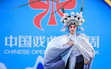 戏曲活动进校园活动总结推荐7篇